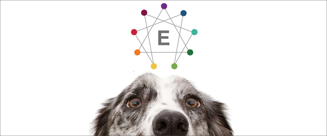 our most popular podcast episodes of 2021 - dogs and the enneagram